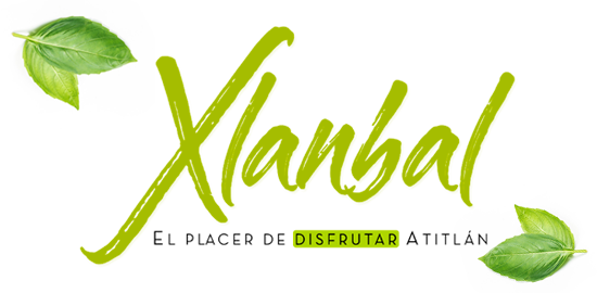 Clarico-Mega Menus Style 6