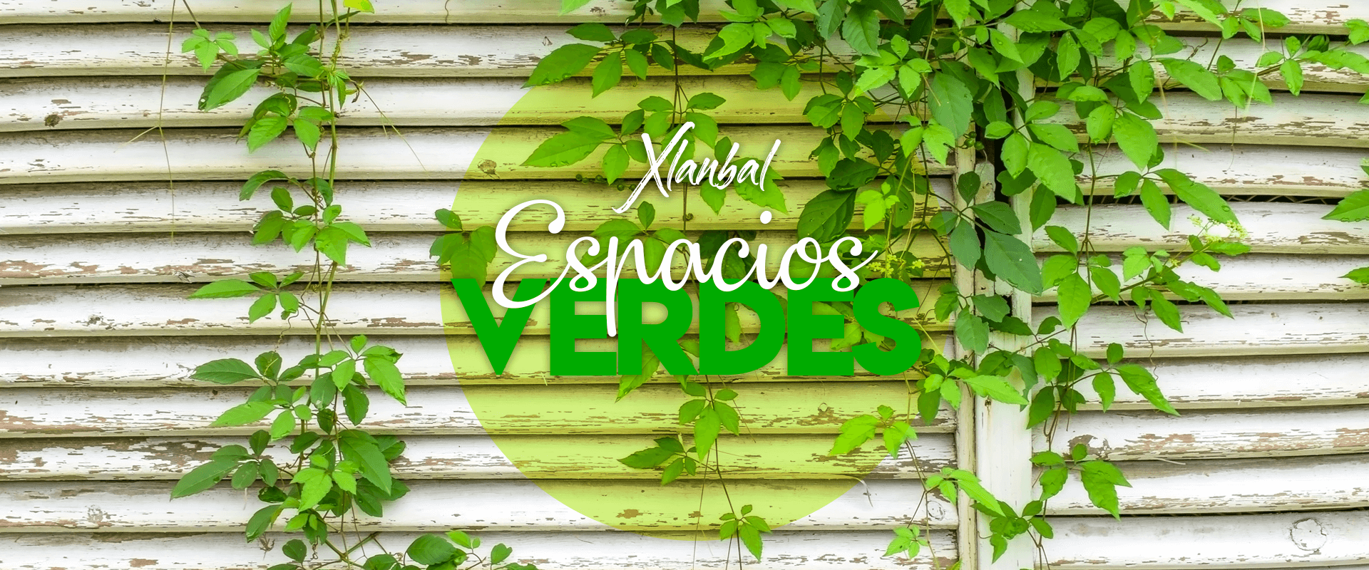 Clarico-Slider Style 3