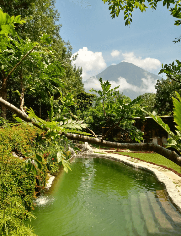 Clarico-Offer style 1