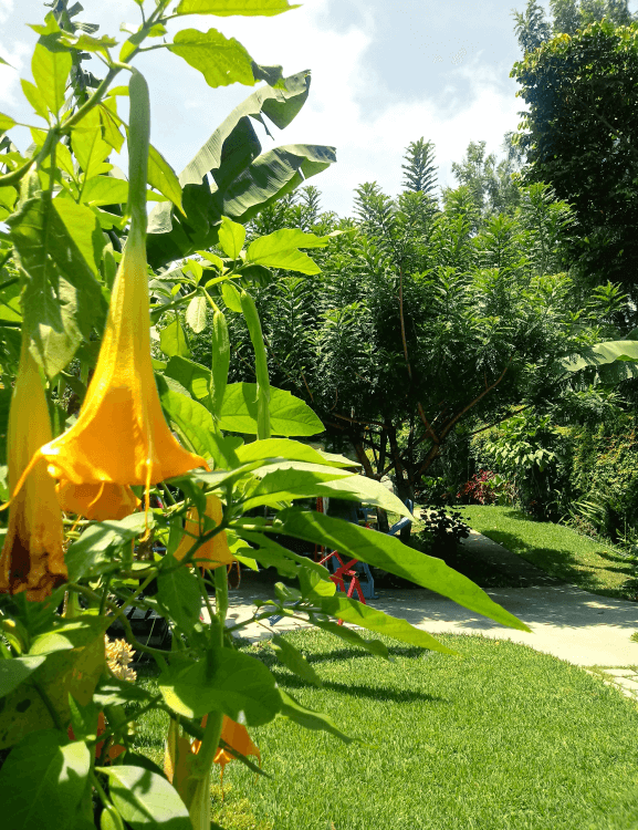 Clarico-Offer style 1