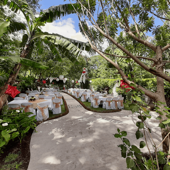 Clarico-Offer style 1